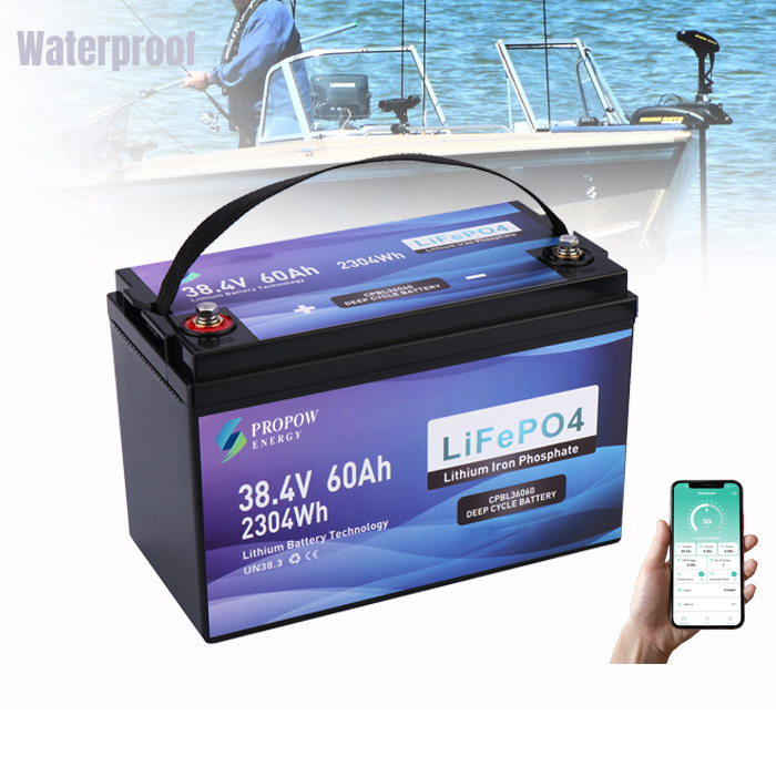 Fishing Boat Trolling Motor - 36ボルトモーターバッテリー釣り船トローリングモーター36V 60Ahリチウムバッテリー（船舶用）